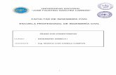 FACULTAD DE INGENIERÍA CIVIL ESCUELA PROFESIONAL DE INGENIERÍA …200.48.129.166/intranet/DOCUMENTOS/2020-1/HUACHO/... · 2020. 7. 11. · sismorresistente, la disciplina y la normativas