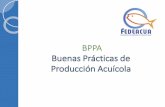 Buenas Prácticas de Producción Acuícola · •Manual de calidad Política de calidad Misión - Visión Manejo Integrado de Cultivo Acuícola ... Auditoría Interna PREREQUISITOS