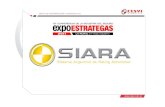 El SIARA, Sistema Argentino de Rating atributos .... Expoestrategas...El SIARA, Sistema Argentino de Rating Automotor, es un ranking que permite categorizar a los vehículos en función