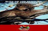 RUTA DELOS PARQUES DE LA PATAGONIA · 2020. 12. 22. · Imagina una ruta que recorre 2.800 kms. de prístinos paisajes, frágiles ecosistemas y ... inversiones vinculadas al turismo.