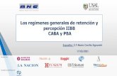 Los regímenes generales de retención y percepción IIBB CABA y … · 2021. 3. 15. · Consistencia entre los importes incluidos como pagos a cuenta en concepto de retenciones o