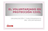 EL VOLUNTARIADO EN PROTECCIÓN CIVILbit.navarra.es/NR/rdonlyres/21FFAC6E-2539-4502-A3E8-67AC...DE PROTECCIÓN CIVIL Hay convenios con 3 Ayuntamientos y 1 Asociación* de Voluntarios: