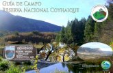 Guía de Campo Reserva Nacional Coyhaique...Con el Respaldo de Guía de Campo Reserva Nacional Coyhaique La amplia variedad de ecosistemas y la abundancia de luga-res remotos en Aysén,