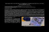 Dinámica del aluvión de la Laguna 513, Cordillera Blanca, Ancash … · 2020. 10. 13. · DINAMICA DEL ALUVIÓN DE LA LAGUNA 513, CORDILLERA BLANCA, ANCASH PERÚ. PRIMEROS ALCANCES