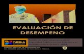 EVALUACIÓN DE DESEMPEÑO - Pueblasii.ssp.puebla.gob.mx/cesp/docs/evaluaciones/cecsnsp... · 2016. 3. 15. · EVALUACIÓN DE DESEMPEÑO 4 Fondo de Aportaciones para la Seguridad Pública
