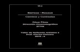 Cambios y Contrastes - Palermo · 2019. 11. 19. · Barroco - Rococó Cambios y Contrastes Taller de Reflexión Artística 3 Prof. Clarisa Fisicaro 2019 - 2 TP.3 César Pérez Dirección