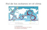 Rol de los océanos en el climaEl ciclo terrestre del carbono y ciclo lento Atm CO2 => Fotos: Carbono Organ => Otoño: cae la Hoja al suelo Bacteria y hongos Descomponen La hoja y
