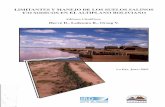 Limitantes y manejo de los suelos salinos y/o sodicos en el Altiplano bolivanio
