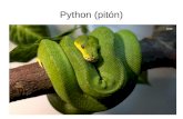 Python (pitón) - Freak Spot · 2020. 11. 5. · Los programas en Python son muy compactos, pues se pueden programar cosas muy complejas en pocas líneas. Sencillo. No requiere de