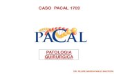 CASO PACAL 1709  PATO 1709.pdf

CASO PACAL 1709 PATOLOGIA QUIRURGICA DR. FELIPE GARCIA MALO BAUTISTA DR. FELIPE GARCIA MALO BAUTISTA CASO PATOLOGIA 1709-Femenino de 46