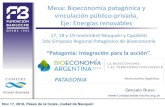 Mesa: Bioeconomía patagónica y vinculación público-privada, … · 2017. 1. 9. · º . Gonzalo Bravo . Mesa: Bioeconomía patagónica y vinculación público-privada, Eje: Energías