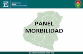 PANEL MORBILIDAD...De 790 casos notificados en el año 2011, el 81.39% corresponden a Paraná a expensas de la notificación en el Hospital Materno Infantil San Roque, observándose