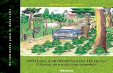 SiStemaS agroforeStaleS en Selva · 2017. 10. 26. · Sistemas agroforestales en selva. Criterios de producción sostenible. — Lima: desco. Programa Selva Central, 2012. 64 p. (Herramientas