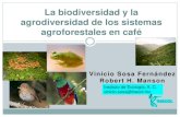 La biodiversidad y la agrodiversidad de los sistemas agroforestales … · 2020. 8. 20. · Los sistemas agroforestales de café con sombrío conservan hasta un 83 % de la diversidad