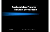Anatomi dan Fisiologi saluran pernafasan - UGM · 2009. 1. 13. · Anatomi dan Fisiologi saluran pernafasan. 1/9/2009 Zullies Ikawati's Lecture Notes 2 Anatomi Sistem Pernafasan Manusia.