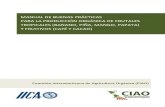 MANUAL DE BUENAS PRÁCTICAS PARA LA PRODUCCIÓN ORGÁNICA DE FRUTALES TROPICALES ... · 2019. 9. 3. · Frutas tropicales 4. Certificación 5. Cosecha 6. Fisiología postcosecha 7.
