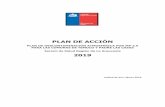 PLAN DE ACCIÓN - PPDA · 2020. 9. 4. · 3 Actividades del Plan de Acción Dentro de los objetivos a abordar en el presente año por la Unidad de Aire, del Departamento de Acción