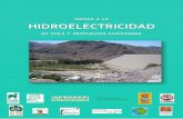 CRÍTICA A LA HIDROELECTRICIDAD - ChileSustentable...Patagonia, Coordinadora Ciudadana Ríos del Maipo, Corporación Privada para el Desarrollo de Aysén (Codesa), Ecosistemas, Ética