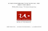 UNIVERSIDAD NACIONAL DE RIO NEGRO · 2019. 5. 2. · A mis abuelos, Rene y Ursula, con los que descubrí el amor al campo y a los animales. A mis dos grandes amores, Jor y Luana,