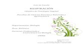 RESPIRACIÓNexa.unne.edu.ar/biologia/fisiologia.vegetal... · 2020. 6. 10. · La respiración vegetal es un proceso catabólico, un conjunto de reacciones mediante las cuales los