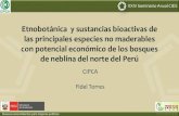 Etnobotánica y sustancias bioactivas de las principales ......Comunidad Segunda y Cajas del Bosque nublado de Huancabamba Antibióticos 23% Antigripal 12% Desinflamatorio 9% Analgésico