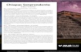 Chiapas Sorprendente - JuliaTours...originan entre otras las cascadas “El Suspiro”, “Ala de Ángel”, “Arco Iris”, “Quinceañera” y la principal “Velo de Novia”,