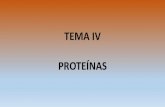 TEMA IV PROTEÍNASpéptido tiene más de 10 aminoácidos, decimos que es un polipéptido. Sin embargo, a un polipéptido formado por más de 100 aminoácidos ya lo vamos a llamar proteína.