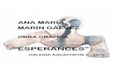 Ana María Marín Gálvez · 2015. 11. 28. · Ana María Marín Gálvez, Barcelona 1960 Dibuixos i pintures corresponent a la sèrie «Mater-Agora» Esperances L’any 2010, després