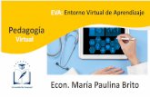 Econ. María Paulina Brito · 2020. 7. 9. · BLOQUE 0- PACIE 4 Información: Incorpora todos los elementos iníciales del EVA, es decir, describe sus componentes y la manera como