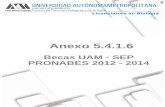 Becas UAM - SEP PRONABES 2012 - 2014cbs1.xoc.uam.mx/licenciaturas/biologia/acreditacion/documentos/5_… · (PRONABES-UAM) con aportaciones del Gobierno Federal y de la UAM se convoca