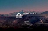 Minería en Cifras - Mining Pressminingpress.com/media/briefs/consejo-minero-minerias-en... · 2017. 7. 20. · del Mundo y promedio del precio a Mayo 2017. 7 Mercado Mundial y participación
