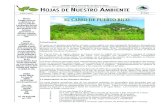 El Carso de Puerto Rico · 2009. 5. 22. · 4. Ley para protección y conservación de cuevas, cavernas y sumideros de Puerto Rico. 5. La nueva ley de vida silvestre. 6. Ley para