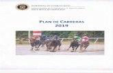 PLAN DE CARRERAS 2019 · 2019. 5. 10. · A. VIGENCIA: A partir del 1 de ENERO de 2019, el siguiente Plan de Carreras servirá de guía al Secretario de Carreras y regirá la programación