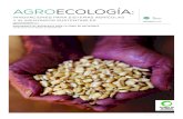 Agro ecología...agro ecología: innovaciones para sistemas agrícolas y alimentarios sustentables amigos de la tierra internacional NOVIEMBRE | 2018 Amigos de la Tierra Internacional