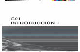 introducción - Uruguay · 2020. 8. 28. · c01 introducción4 PNGIRH_2011_ok.indd 12 16/12/10 05:50 p.m. de la calidad y cantidad de las aguas y de su buena gestión depende la sostenibilidad
