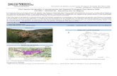 Plan básico de gestión y conservación del Espacio Protegido ......1310 - Miniopterus schreibersii 3 U1: 1324 - Myotis myotis 3 U1: - 3 - LIC/ZEC - ES2420128 - Estrechos del río