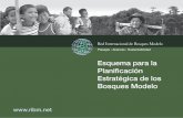 Red Internacional de Bosques Modelo - ribm.net€¦ · otros Bosques Modelo en la Red internacional de Bosques Modelo y a posibles donantes. • Una herramienta de motivación que
