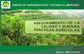 UNIDAD DE AGRONEGOCIOS Y ACCESO AL MERCADO · 2008. 11. 13. · Generalmente se consumen crudos ... Plaguicidas , metales pesados y contaminantes microbiológicos •Cumplimiento