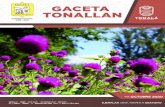 Portal de transparencia del municipio de Tonalá Jalisco ...transparencia.tonala.gob.mx/wp-content/uploads/2020/10/...2020/10/26  · X. A su vez, la Constitución Política del Estado