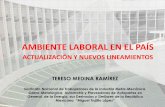 AMBIENTE LABORAL EN EL PAÍS - AMEDIRH · 2021. 5. 12. · 1. Reforma Laboral. Antecedentes 24 Febrero 2017 Se publica en el DOF la reforma a los Arts. 107 y 123 de la LFT en materia