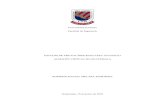 ESTUDIO DE PRE-FACTIBILIDAD PARA UN NUEVO ALMACÉN VIRTUAL …glifos.unis.edu.gt/digital/tesis/2010/26187.pdf · 2015. 10. 5. · ALMACÉN VIRTUAL EN GUATEMALA . RODRIGO RAFAEL MELARA