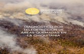 DIAGNÓSTICO POR TELEDETECCIÓN DE ÁREAS QUEMADAS EN … · 2021. 7. 12. · Observatorio Bosque Seco Chiquitano, Fundación para la Conservación del Bosque Chiquitano, Santa Cruz,