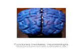 Funciones mentales: neurobiología. · 2021. 2. 4. · En el cerebro humano, gran parte del funcionamiento cognitivo es “no lineal”,(2) lo cual quiere decir que su presencia “no