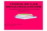 TEORÍA DE LAS ORGANIZACIONES · 2020. 4. 16. · LA ORGANIZACIÓN :(Primer bloque: cuestiones más teóricas del funcionamiento de las organizaciones, distintos tipos, sus particularidades