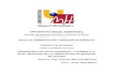 UNIVERSIDAD MIGUEL HERNÁNDEZdspace.umh.es/bitstream/11000/4094/1/MARTÍNEZ MARTÍNEZ... · 2017. 10. 17. · universidad miguel hernÁndez . facultad de ciencias sociales y jurídicas
