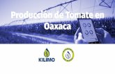Producción de Tomate en Oaxaca...Considerando un día con una evaporación de 7mm y a los 45 días de desarrollo de cultivo Procedemos: Espacio: 1 ha Riego: cintilla (eﬁciencia