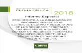 Informe Especial · 2020. 1. 29. · 305 INFORME ESPECIAL DEL SISTEMA DE RECURSOS FEDERALES TRANSFERIDOS CUENTA PÚBLICA 2018 1. PREÁMBULO Un elemento fundamental en la Fiscalización