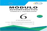 MODULO  · Web view2020. 7. 29. · Los cuadernos de trabajo o módulos autoinstructivos deberán ser remitidos en archivo WORD o PDF vía el Aula Virtual (estos archivos NO deberán