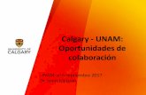 Calgary - UNAM: Oportunidades de colaboracióncrai.unam.mx/uisu/ucalgary/assets/docs/UC_introduccion.pdfIngeniería de software Programas de estudio: negocios 12 Programa Licenciatura