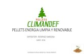 PELLETS ENERGIA LIMPIA Y RENOVABLE - CChC · 2020. 7. 22. · PELLETS.. CAPSULAS DE ENERGIA SEMINARIO EFICIENCIA ENERGETICA Y MEDIO AMBIENTE Los pellets de madera en un biocombustible